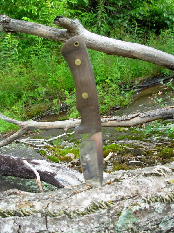 DSCN0778.jpg