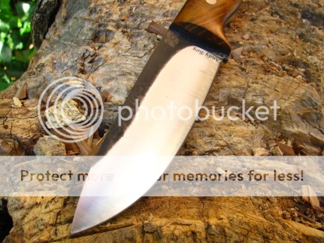 FiddlebackHunter002.jpg