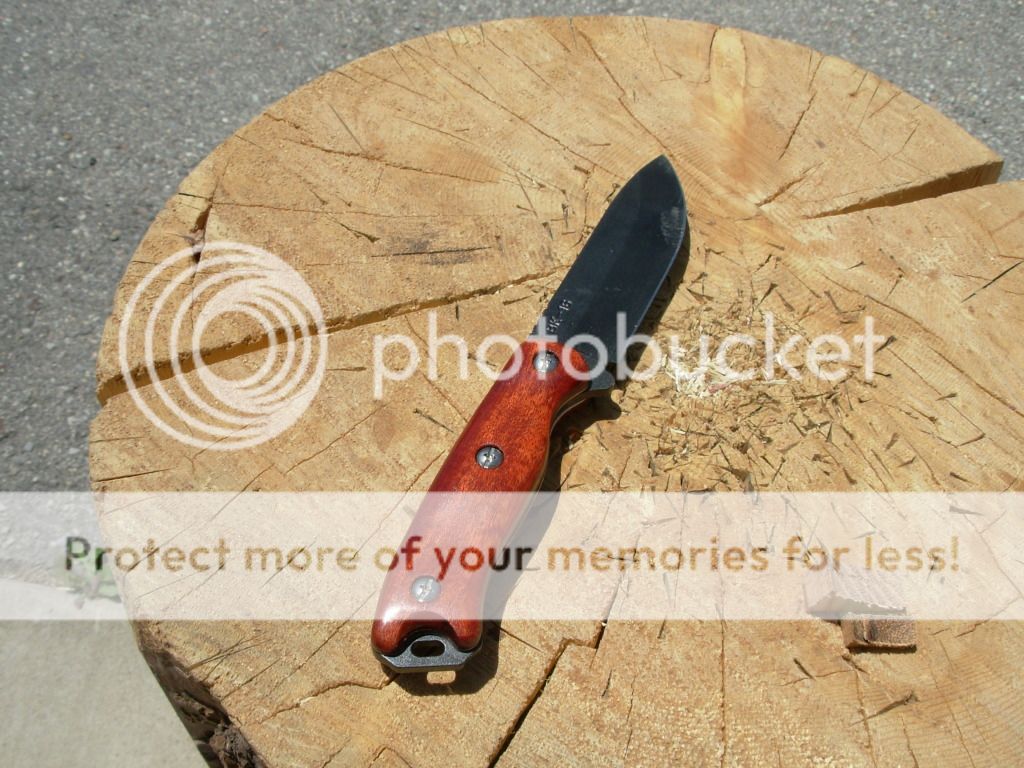 DSCN1418.jpg