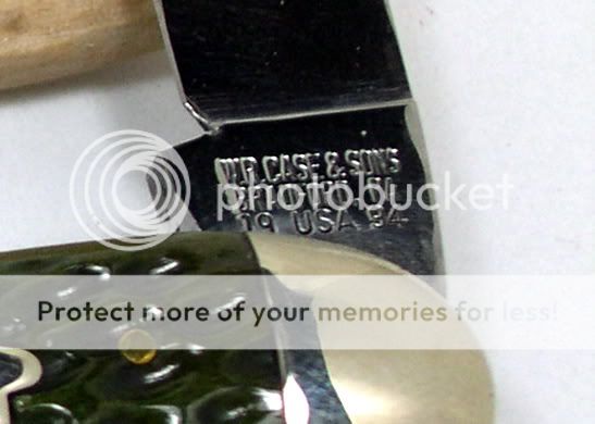 DSCN2506.jpg