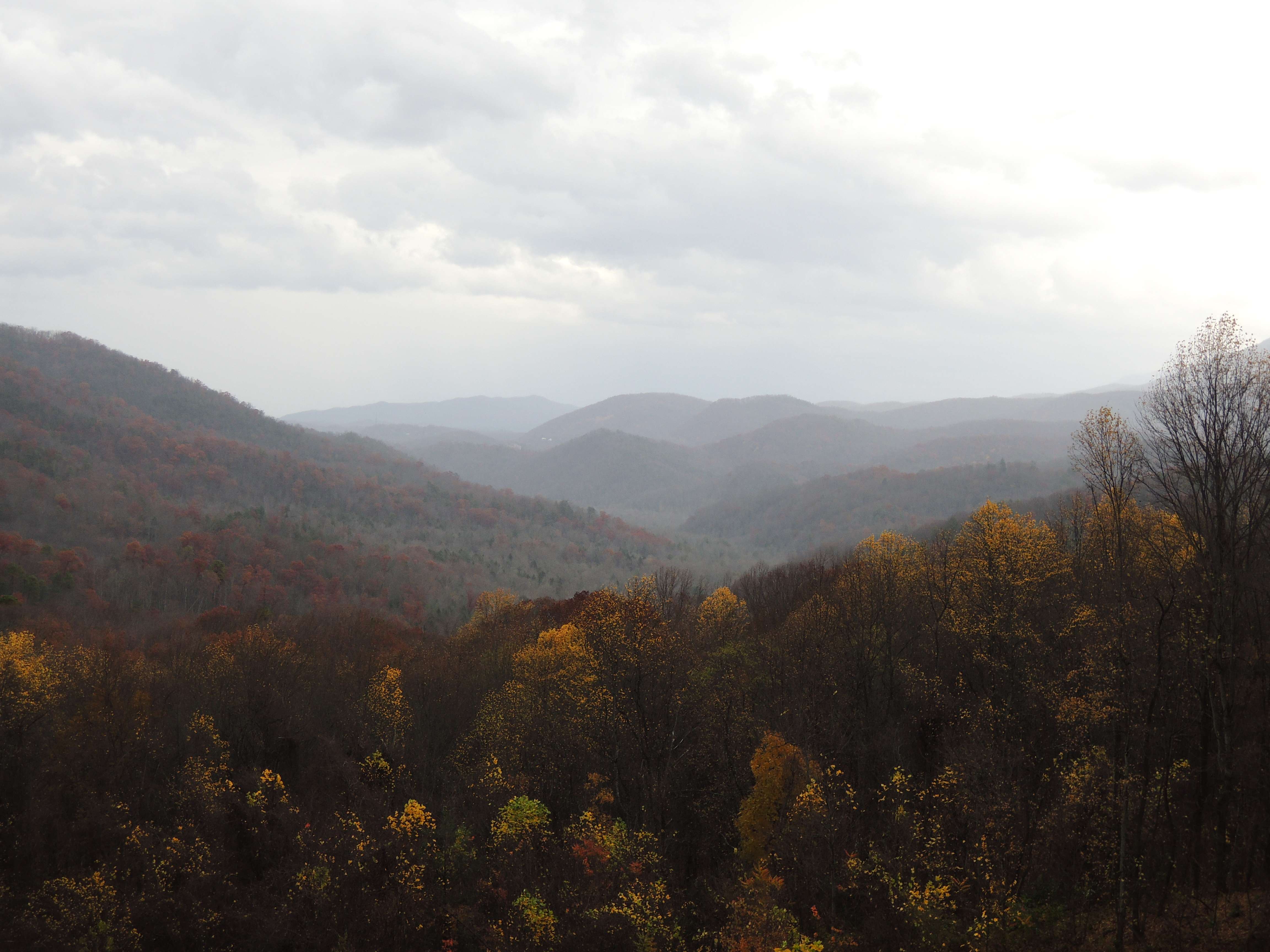 dscn2879s.jpg