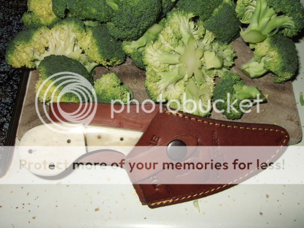 DSCF1005.jpg