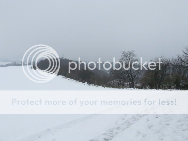 2010_01130003.jpg