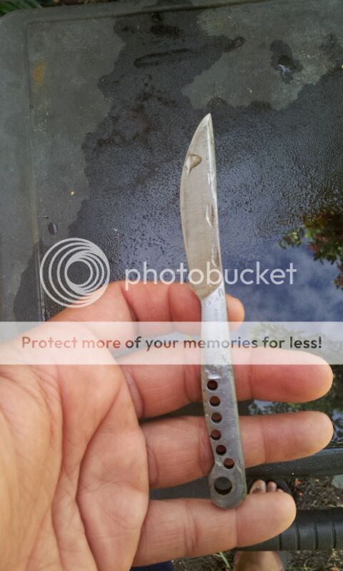 84E3722B-orig.jpg