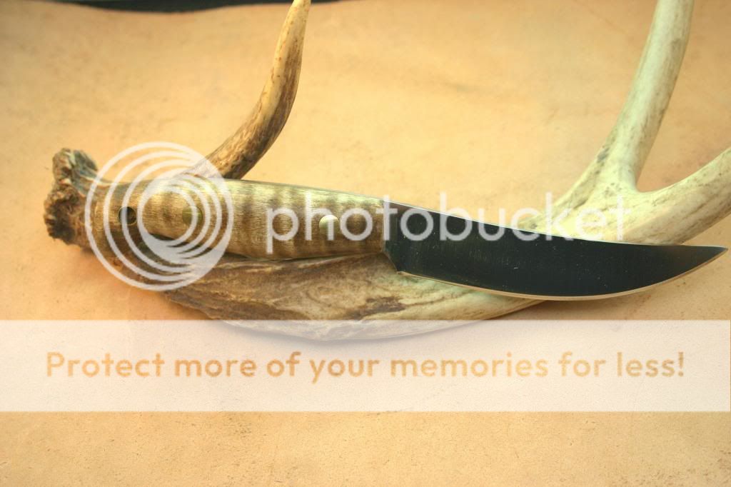 IMG_4267_1_zps0de0bf4a.jpg