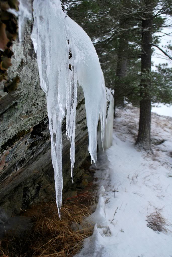 DSC_0104-2.jpg