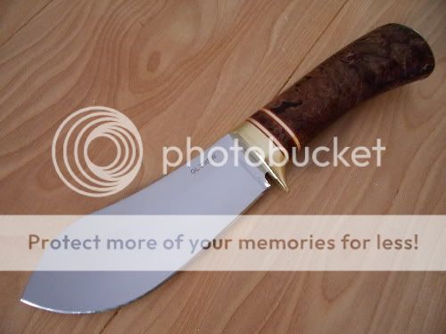 Heavyskinner2.jpg