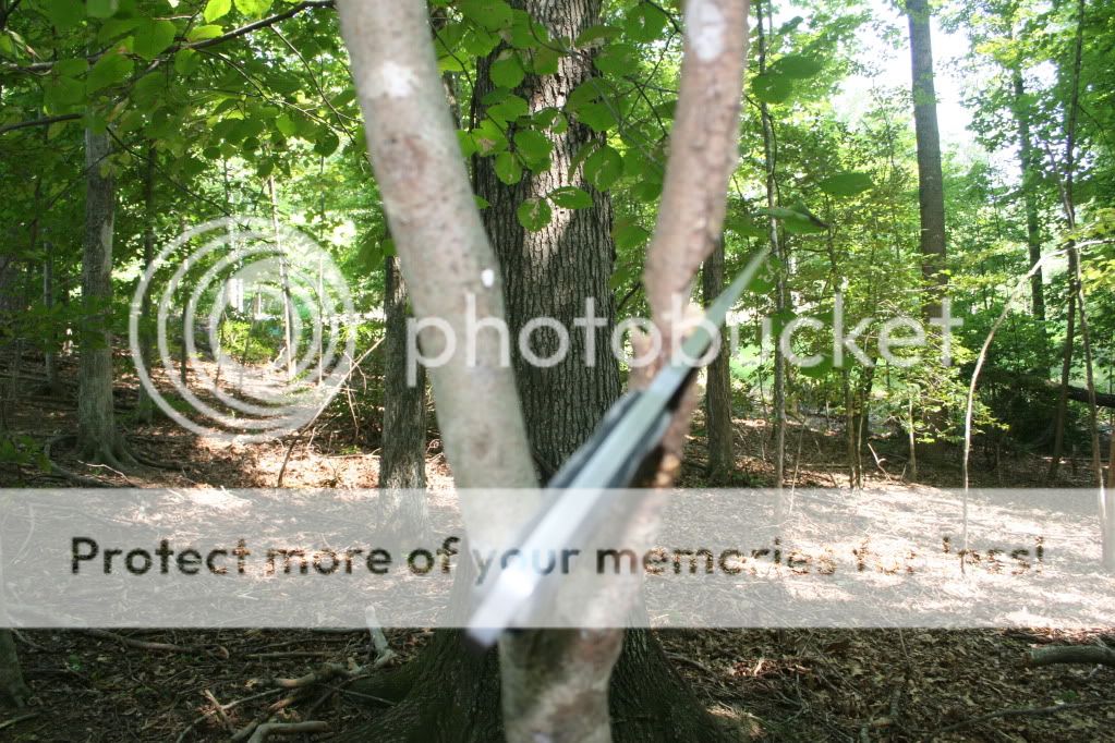 IMG_0566.jpg