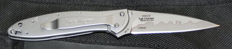 BacksideLeek1660CB.jpg