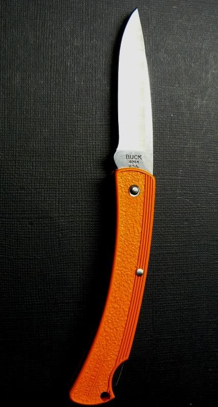 0424ORS-BBuckliteorange42401-09-2012009.jpg