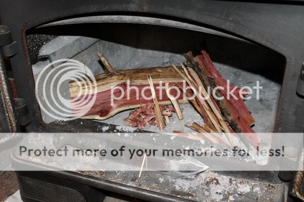 IMG_2322_zps8b6874dd.jpg