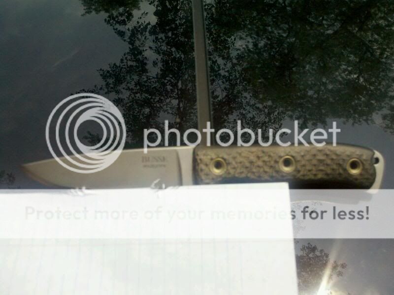 rps20110617_135312.jpg