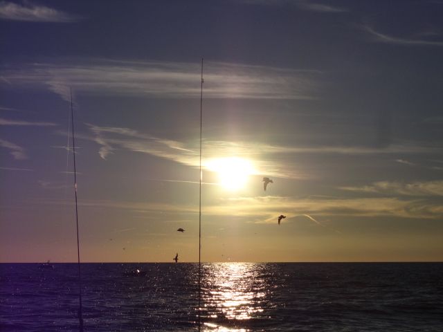 DSC09987_zpsc43ebbcd.jpg