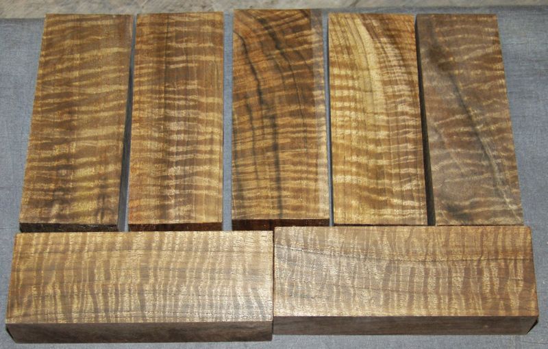 walnut004.jpg
