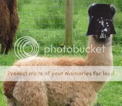 darthvaderllama.jpg