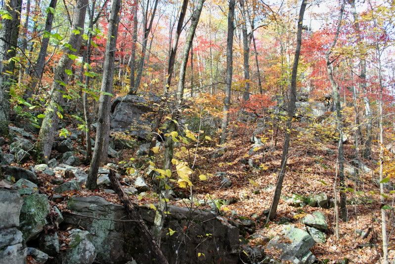 DSC_8148.jpg