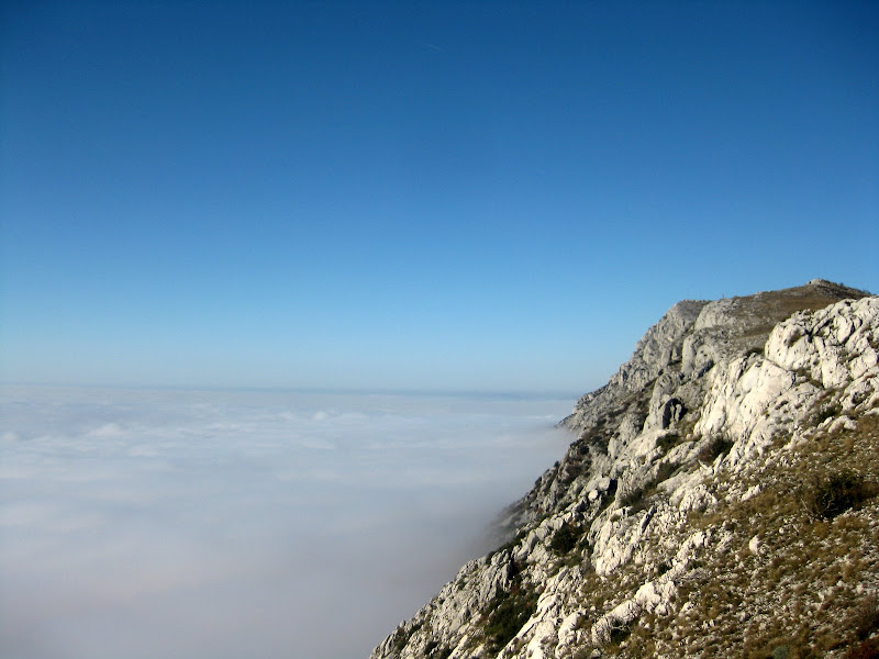 IMG_5773.JPG