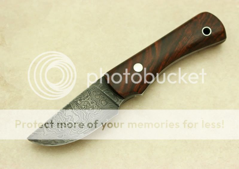 ironwood1.jpg