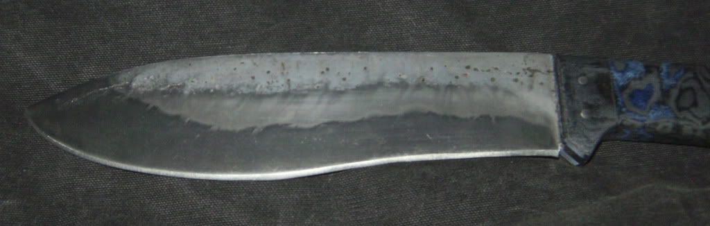 SANY2616.jpg