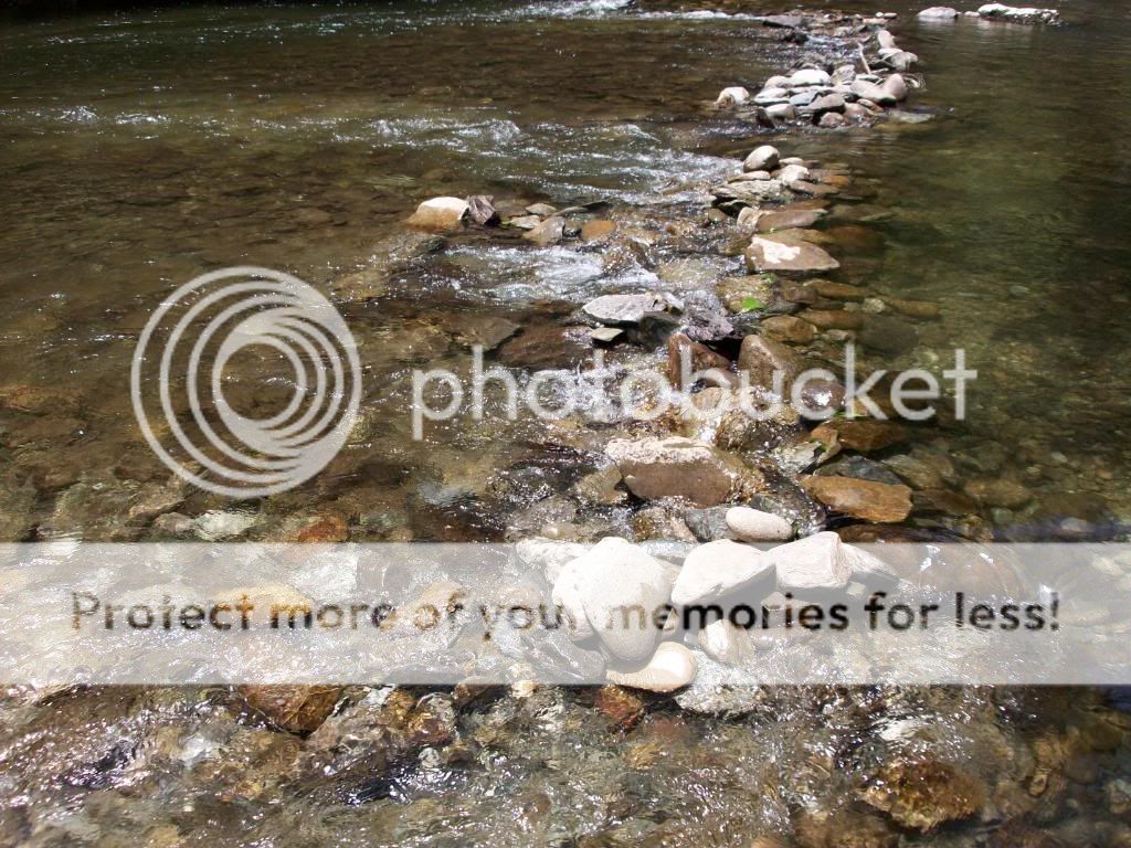 100_2441.jpg