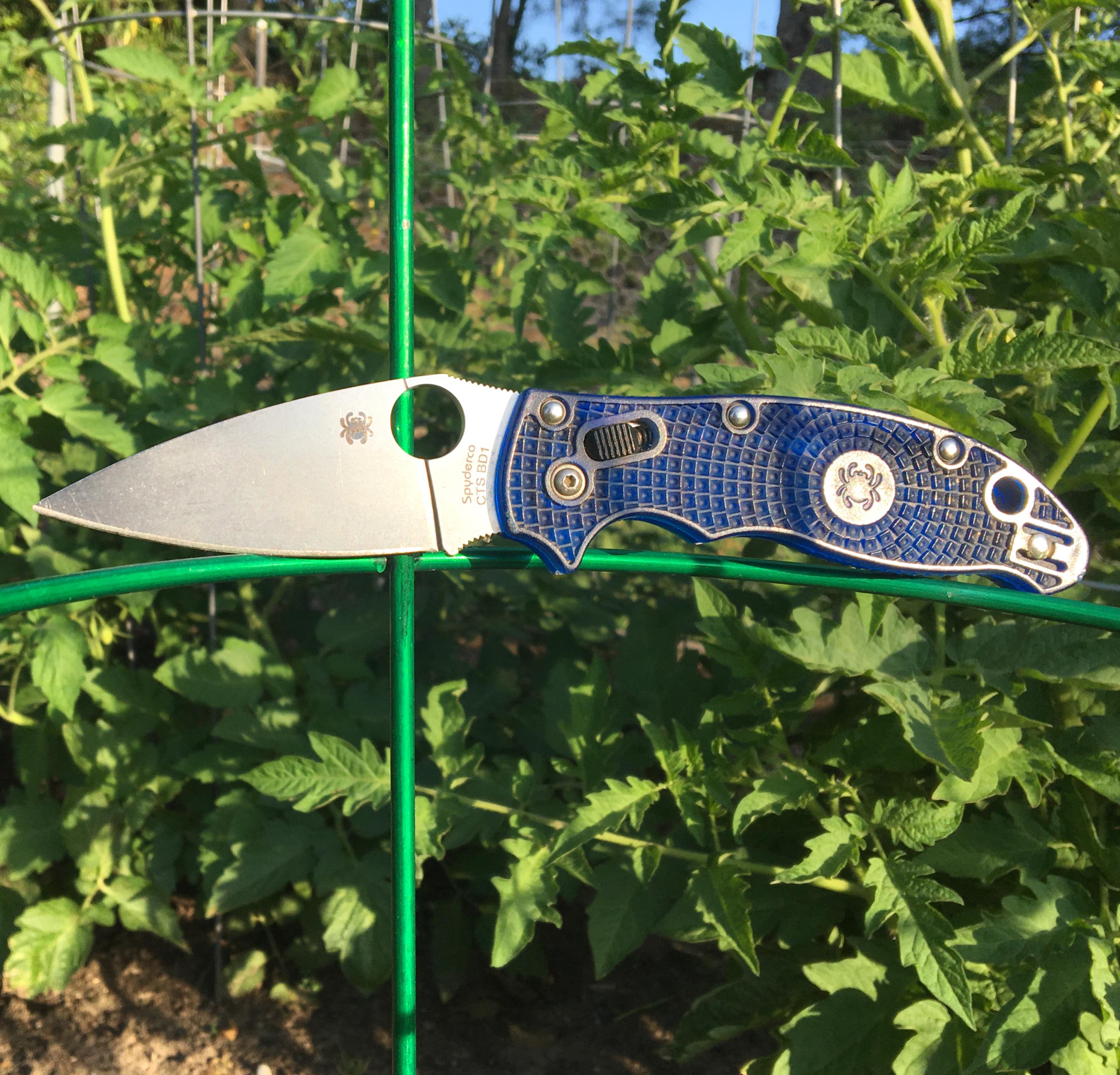 g8cIHp1.jpg