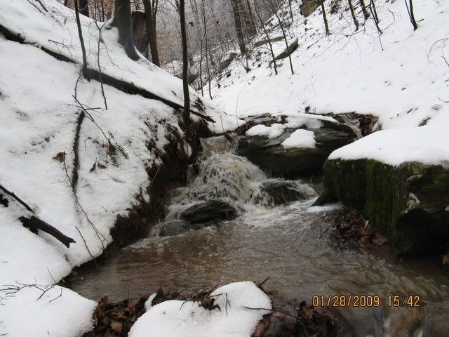 snowdayforthepets075.jpg
