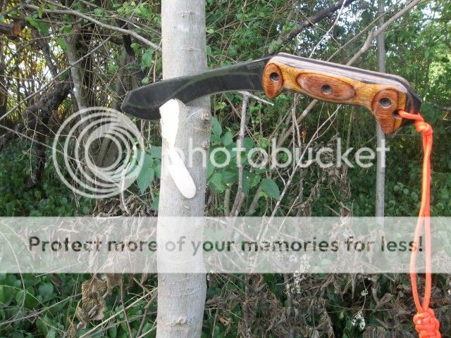 100_2053.jpg
