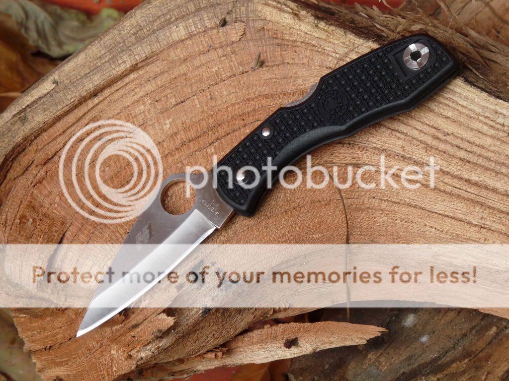 spydercosalt1front.jpg