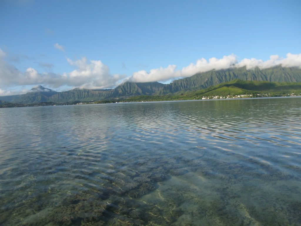IMG_8905.jpg