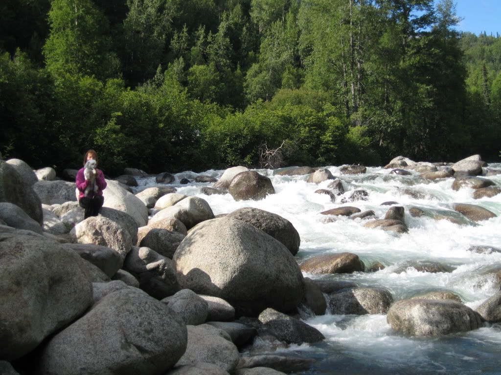 IMG_3255.jpg