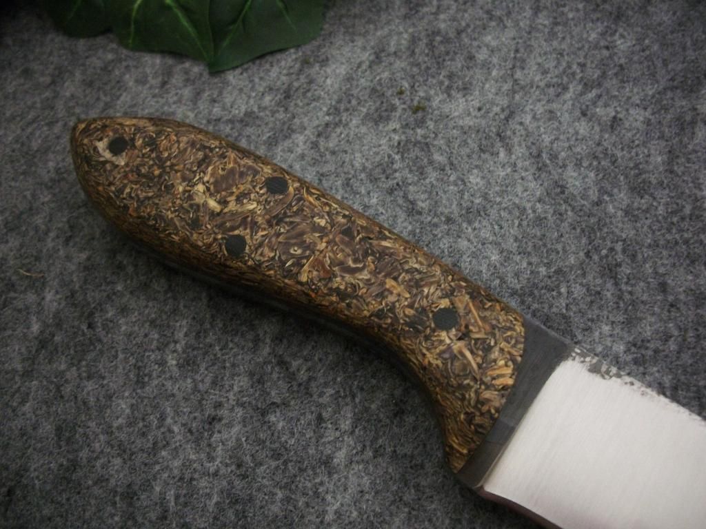 160.jpg