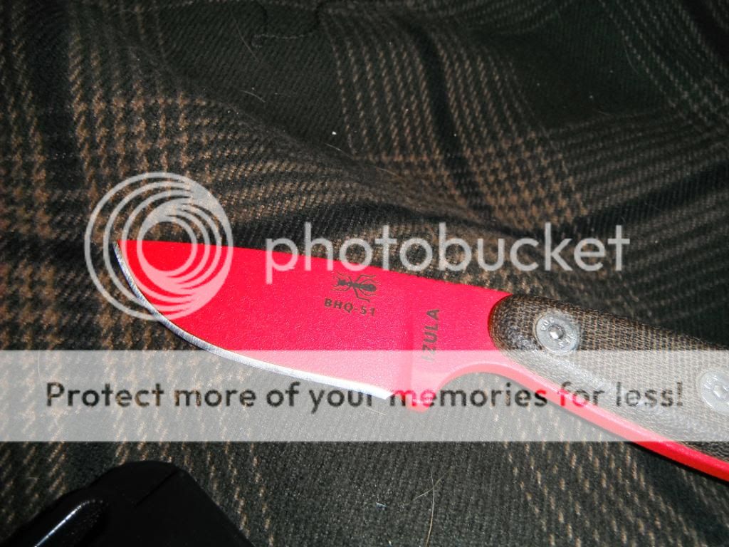 DSCF1229.jpg
