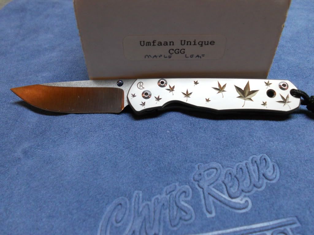 DSCN1212.jpg