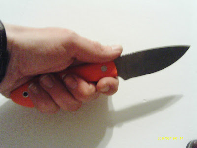 IMAG0144.JPG