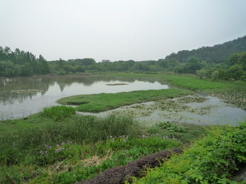 P1070061.jpg