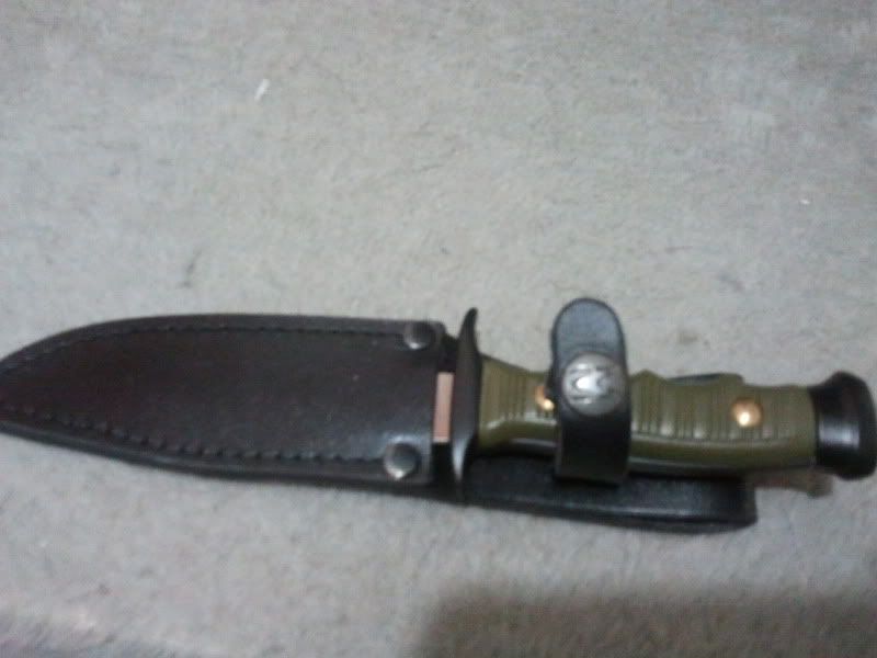 2011-10-10082917.jpg