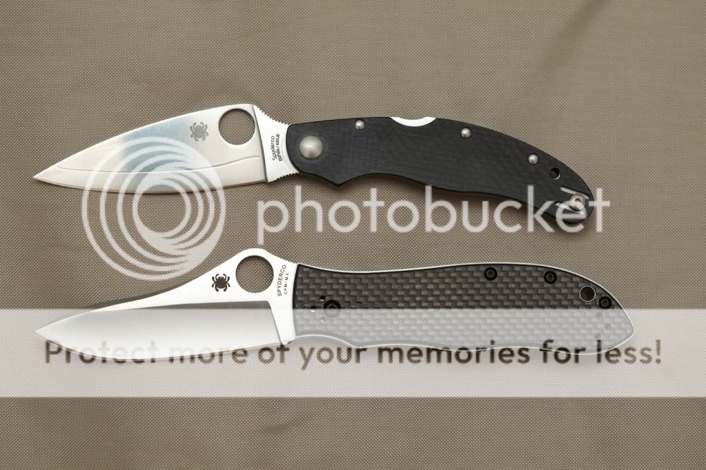IMG_4337_Spydercos.jpg