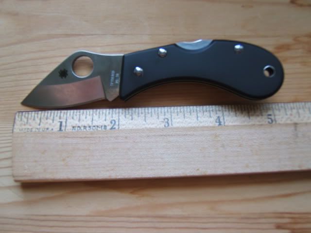 DSCF9834.jpg