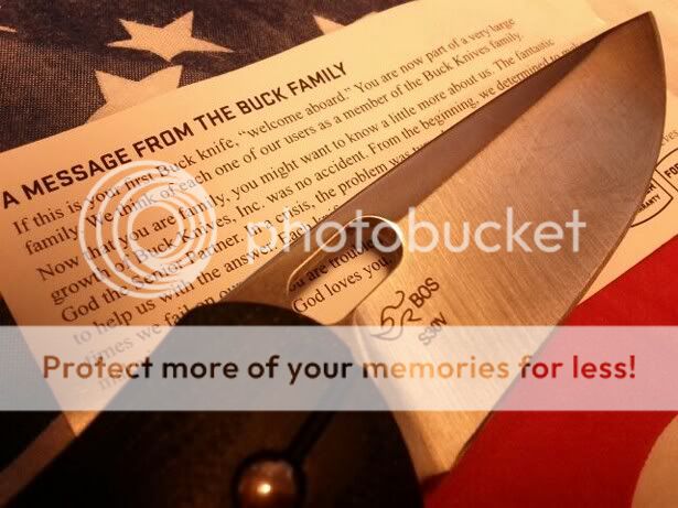 buck.jpg