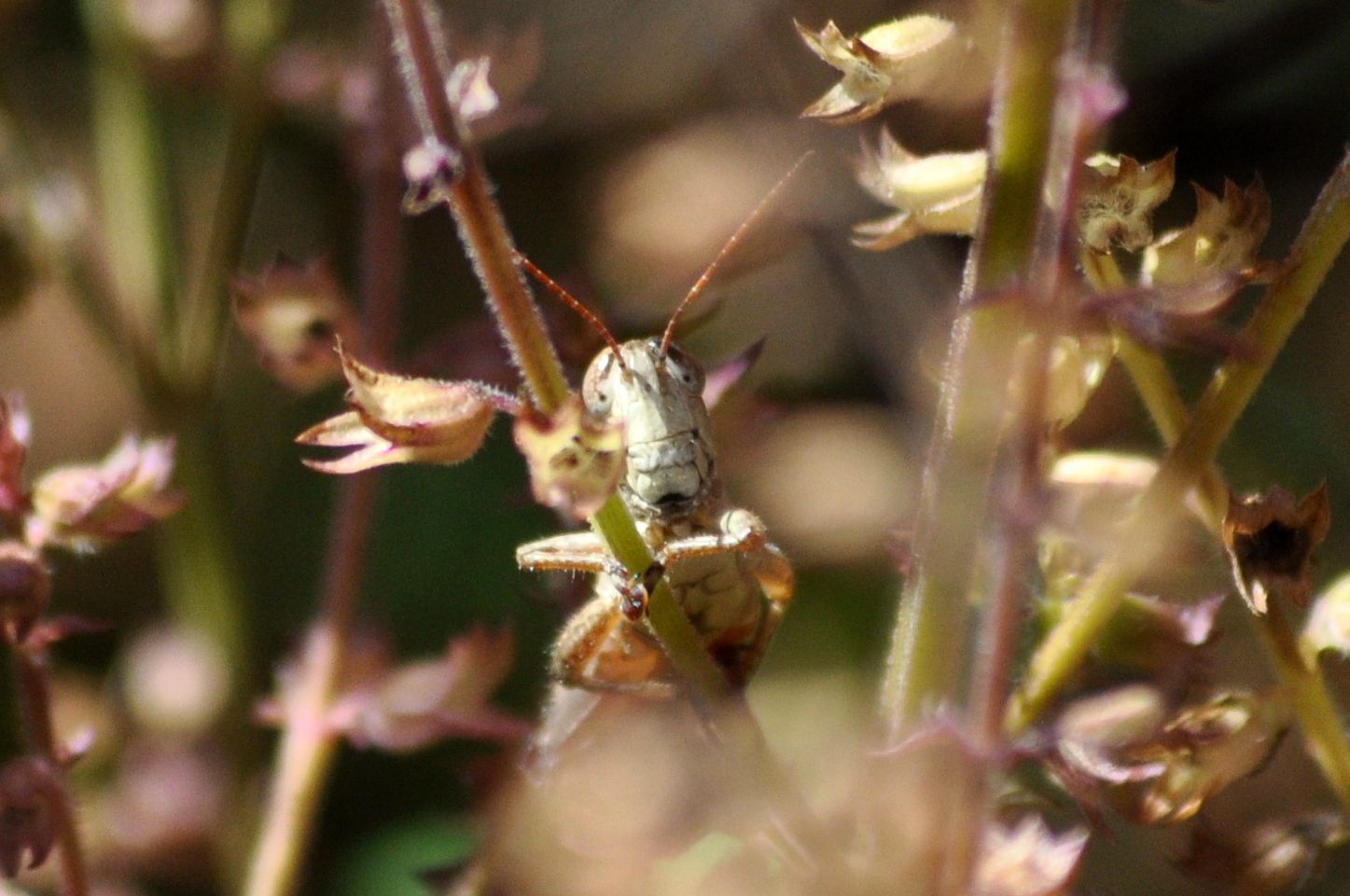 B_20_zps40e89e53.jpg