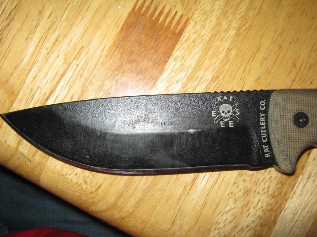 001-2.jpg