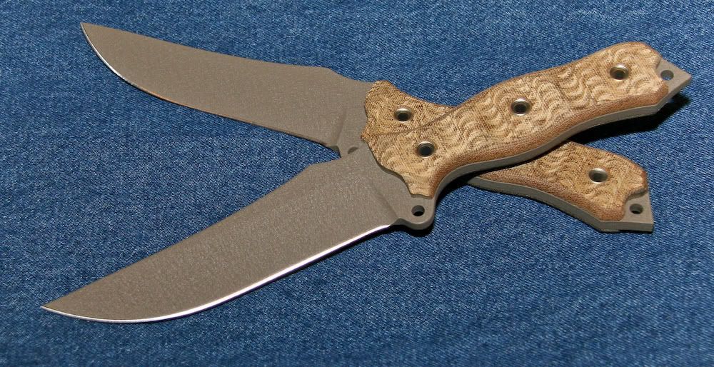 Busse-TB-v_MO-Pair.jpg