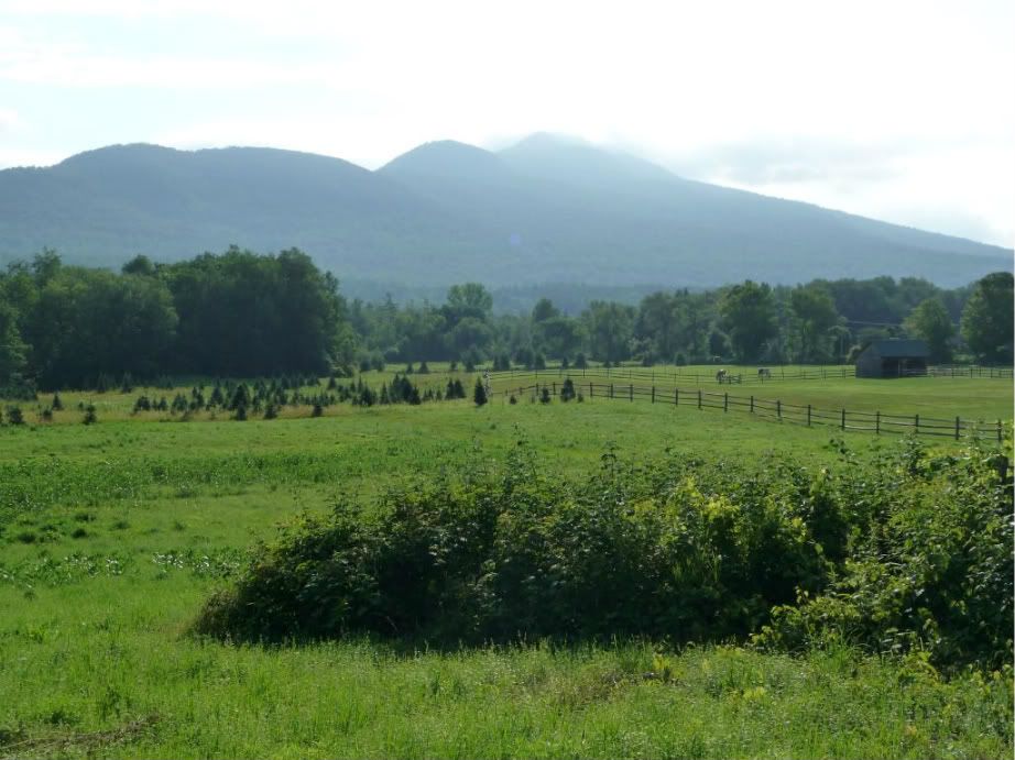ManchesterVT014.jpg