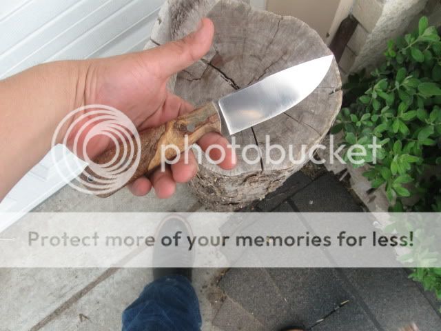 Picture074.jpg