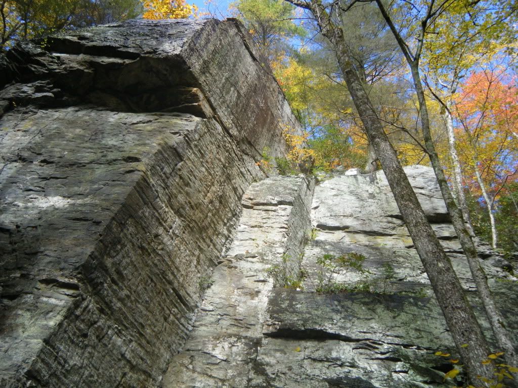 DSCF0390.jpg