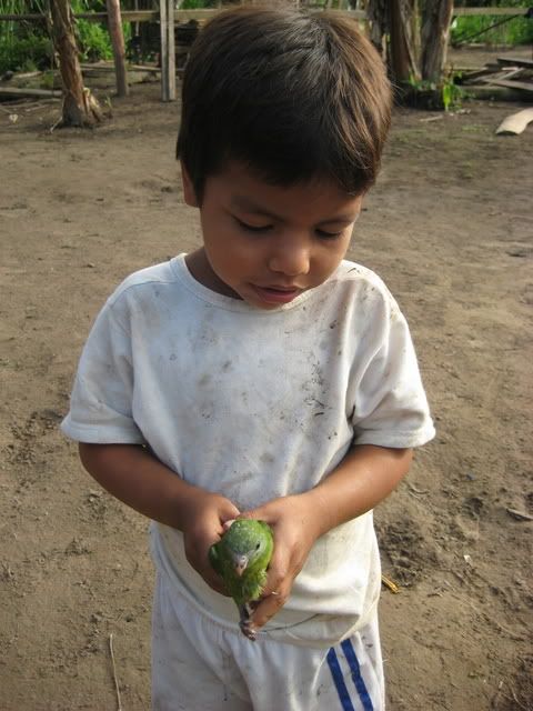IMG_3740.jpg
