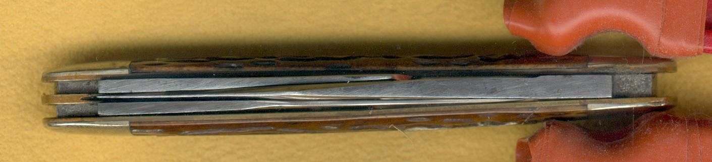 SchradeLangbein4_zpse16b7d9b.jpg