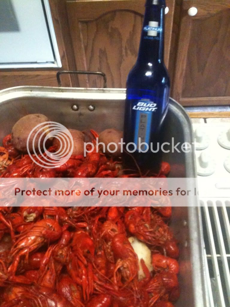 Picture007.jpg