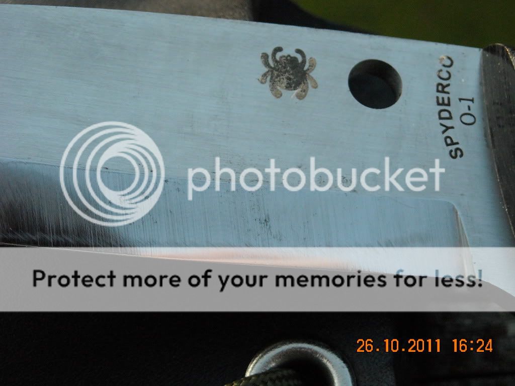 DSCN0401.jpg