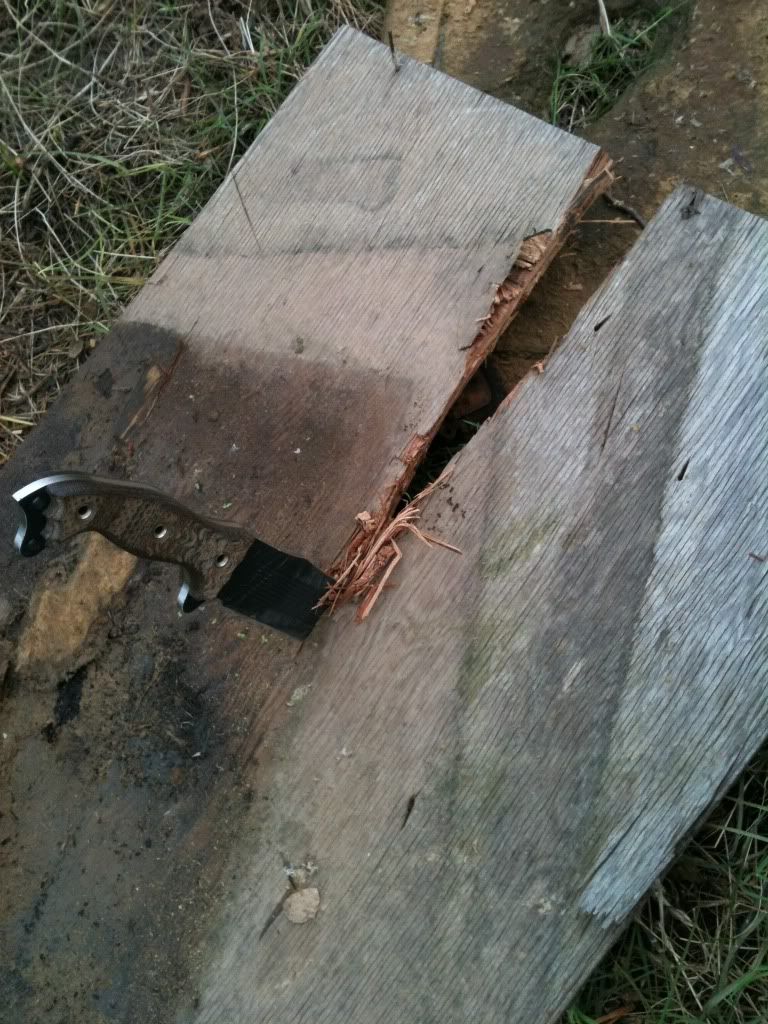 photo-7.jpg